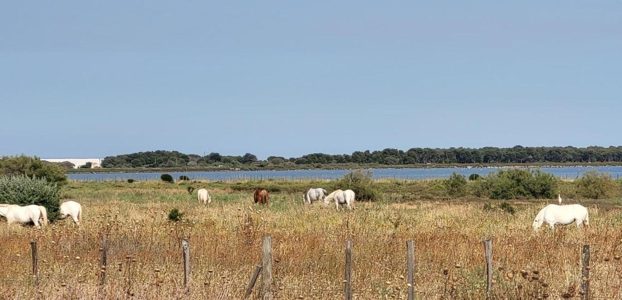 La Cigale De Mer A 100 M De La Plage Et Du Centre Ville Du Grau Du Roi Le Grau-du-Roi Extérieur photo